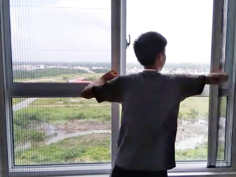 Cửa lưới chống muỗi, côn trùng có hại, côn trùng có hại, Tuấn Vinh Shop, côn trùng, Gioăng Phụ Kiện Nhập Khẩu,